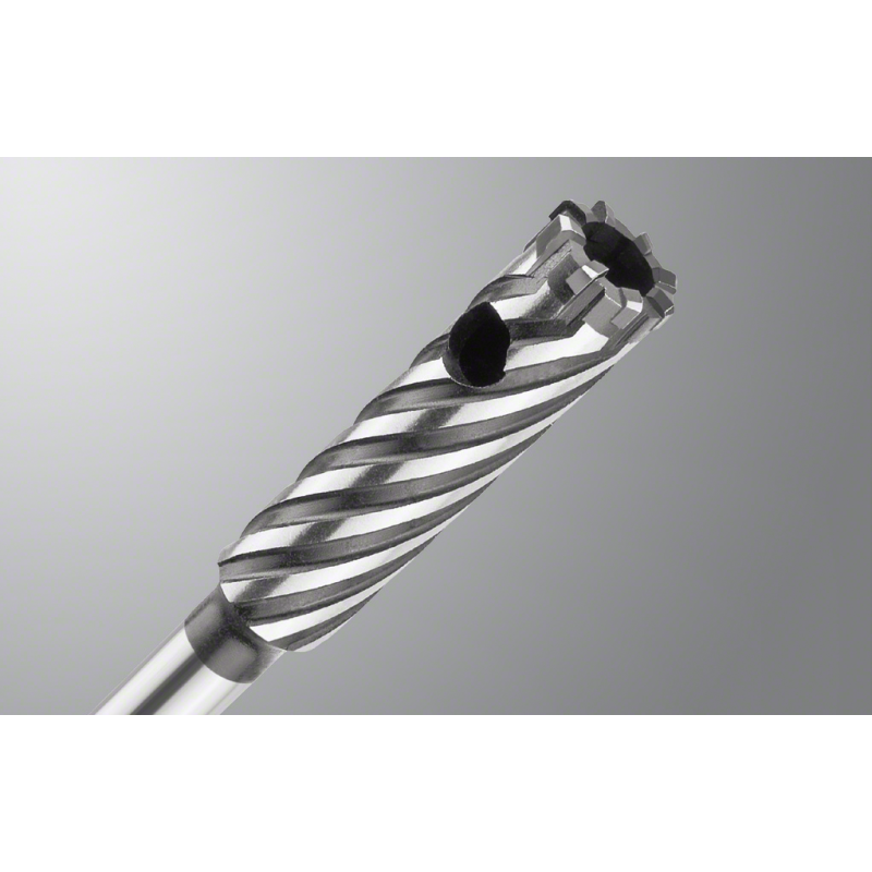 Bosch PRO SDS-Plus RebarCu K-Delici Ucu 18*300mm