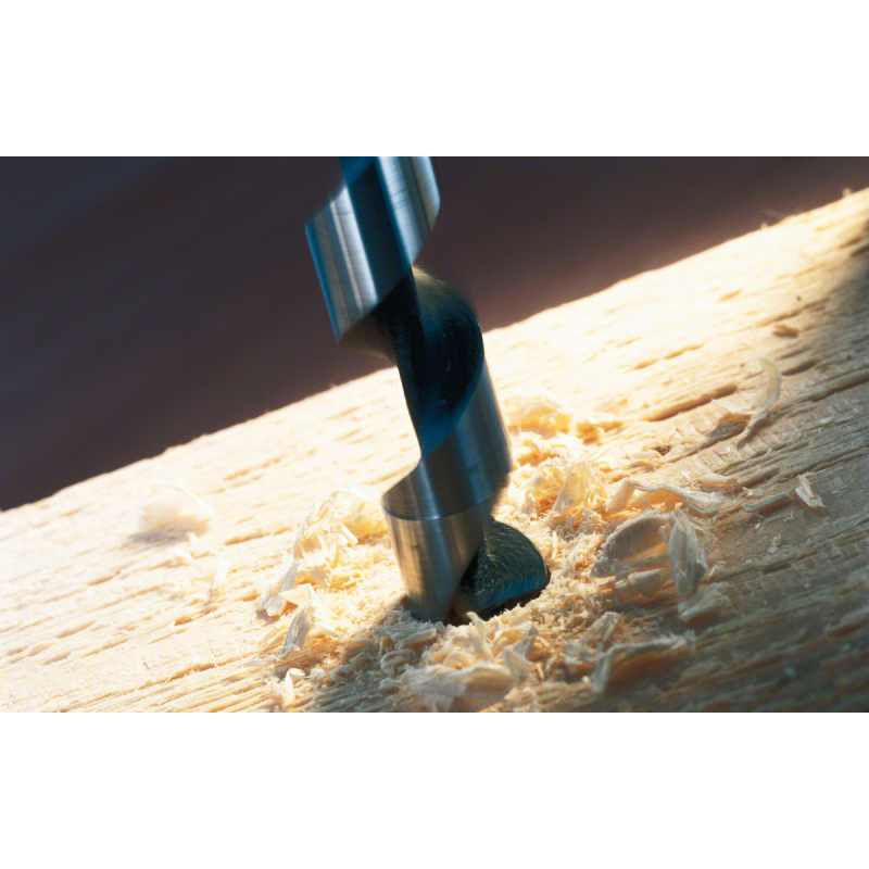 Bosch PRO Wood Yılan Ahşap Matkap Ucu HEX 25*235 mm
